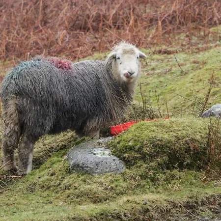 Coniston * Kendal